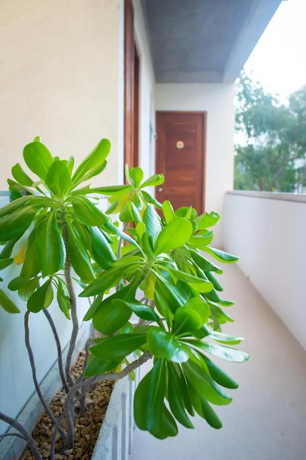 Apart Otel Suites Cielo Y Mar (Adults Only) Playa del Carmen